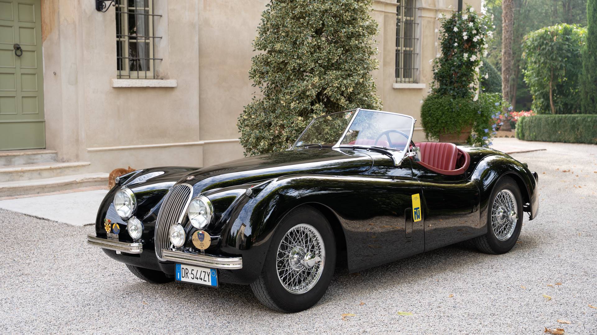 Gabriele Genovese Historic Cars