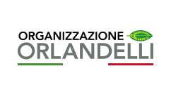 Organizzazione Orlandelli